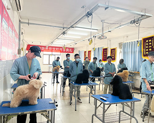 1681982199385900.jpg 22.jpg