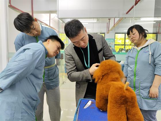 1745481108658052.jpg 4e21c8f6b9e251f7b96265c527183f49.jpg