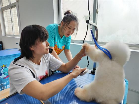 1746006804322511.jpg IMG_20250429_163004(1).jpg