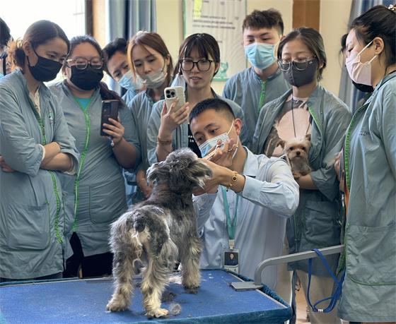 1746606571263020.jpg cd142b8d-369d-45ee-b664-389760c88def_看图王.jpg