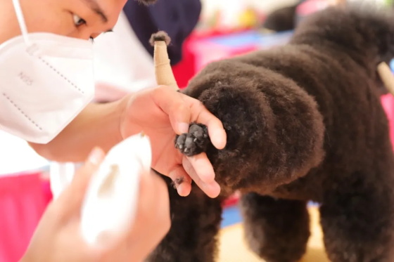 1746762259129921.jpg 640.jpg