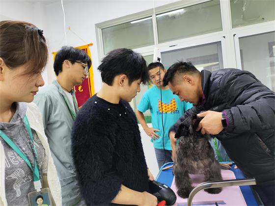 1763109414353895.jpg 93e67c59373fd11556ee0e8519c577a5.jpg