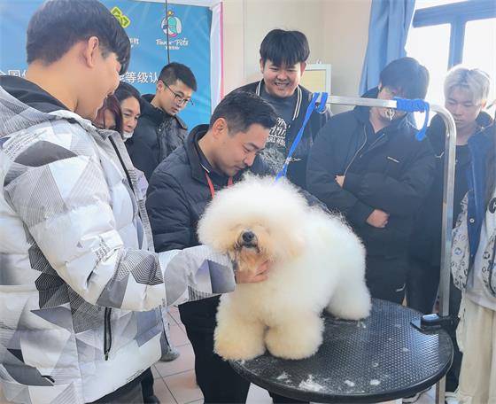 1763452659107357.jpg fc58bfab4882bcd89b7d80889f8dd3c9_origin(1)_看图王.jpg