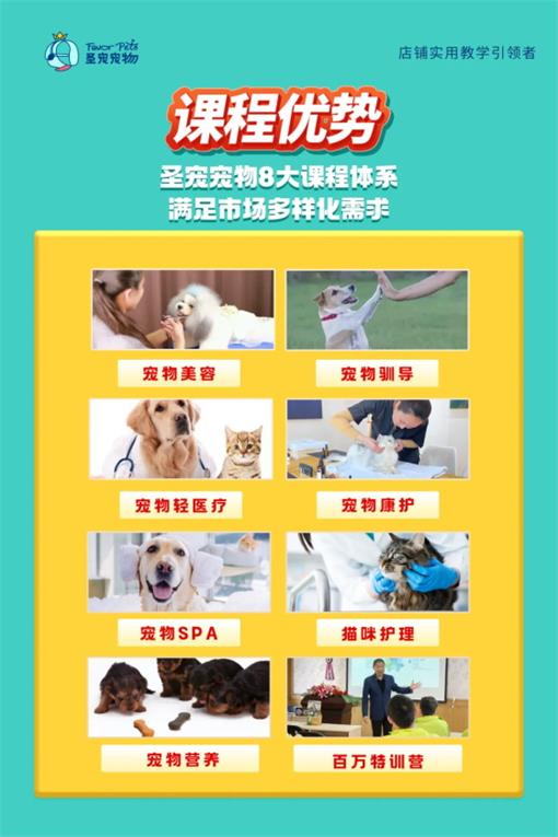 1763538918862404.jpg 640.jpg