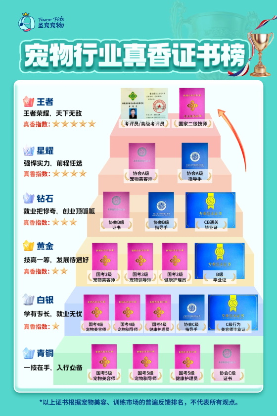 1764063124787729.jpg 0 (1).jpg