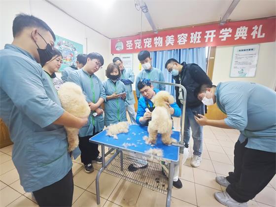 1764410355246712.jpg 6be3e26a9b460c0c17ec3e8656e6f280.jpg