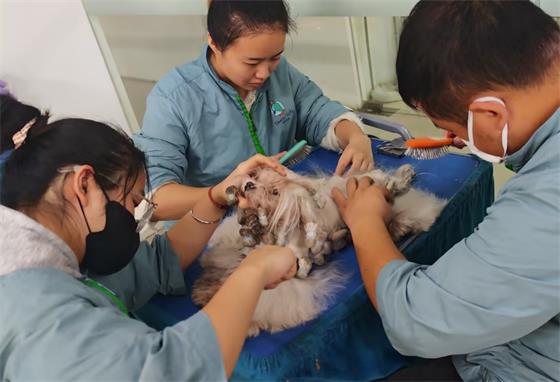 1764928312466410.jpg 7a3d3924a81cb7b28becb7e3a16c72bd_compress_看图王.jpg