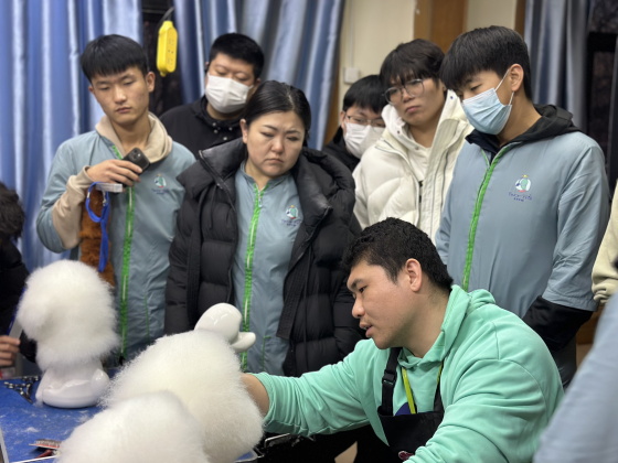 1765271018296560.jpg a1203a1d-efab-4f15-bc25-272c7596ef75(1).jpg