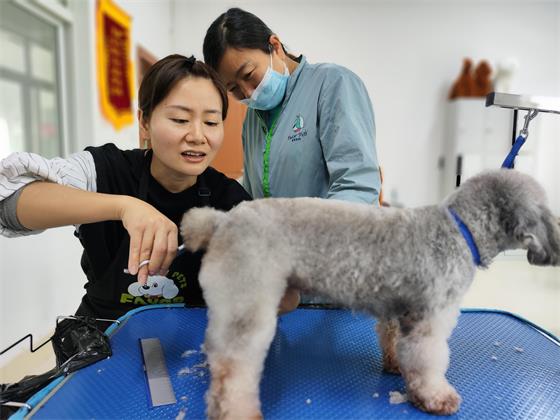 1766137563843898.jpg c45a5809c31efaea81ef196af81d37aa.jpg