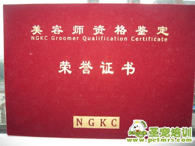 中国NGKC宠物协会认证证书