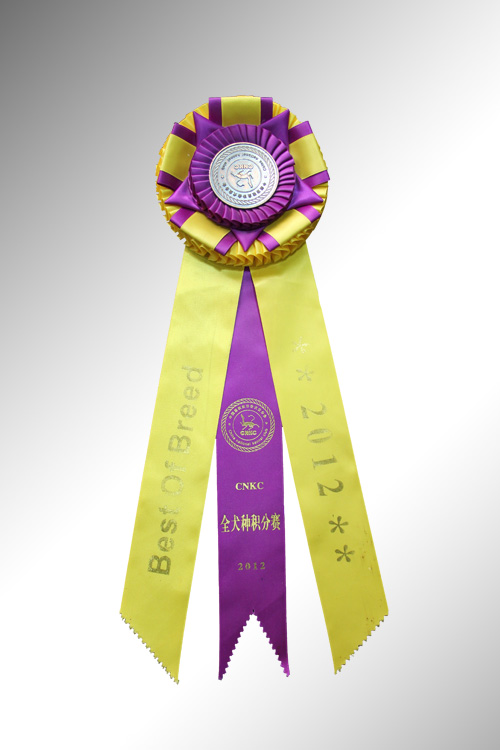 2012年CNKC全犬种积分赛荣誉奖章